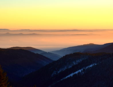 Ore Mountains foggy