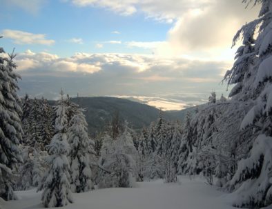 Winter Ore Mountains