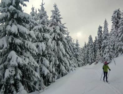 Cross country skiing