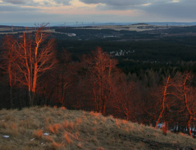 Autumn Ore Mountains