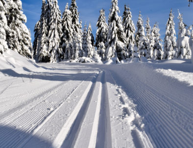 Cross country skiing track